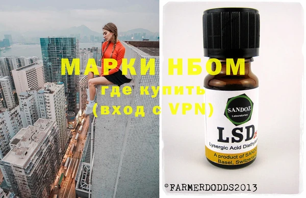 СК Семилуки