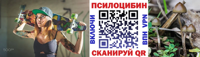закладка  Шагонар  Галлюциногенные грибы мицелий 