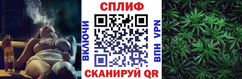 Бошки марихуана THC 21%  Шагонар 